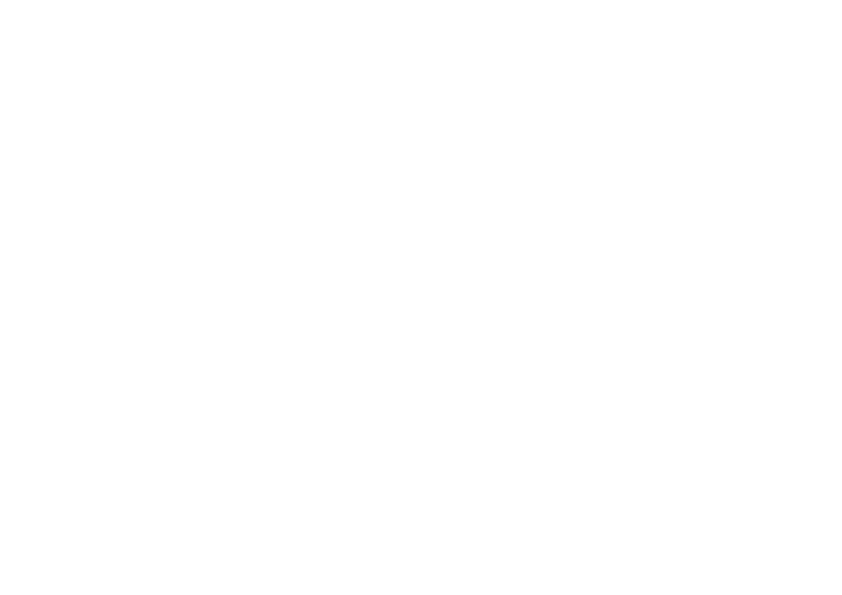 pista