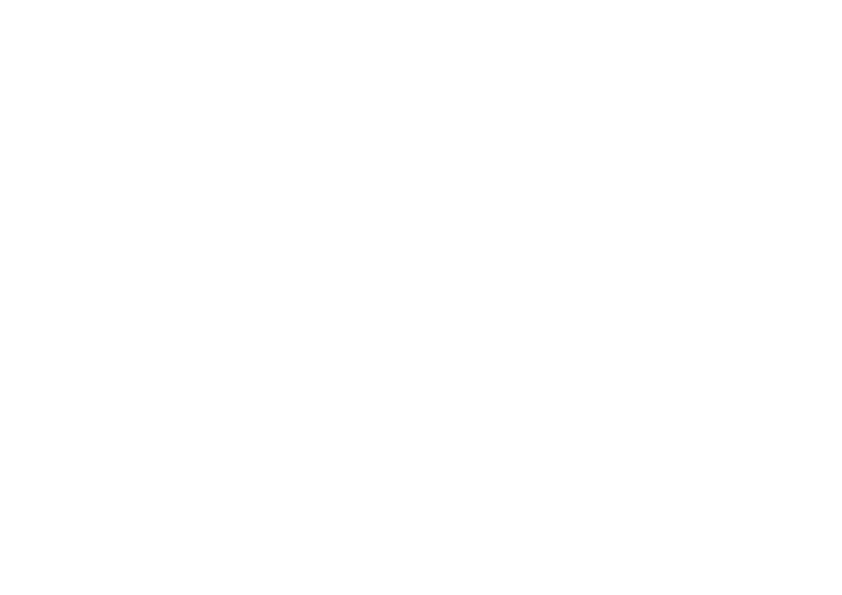 pista