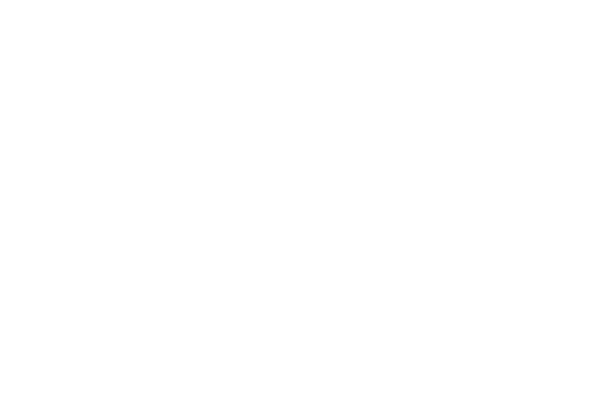 pista