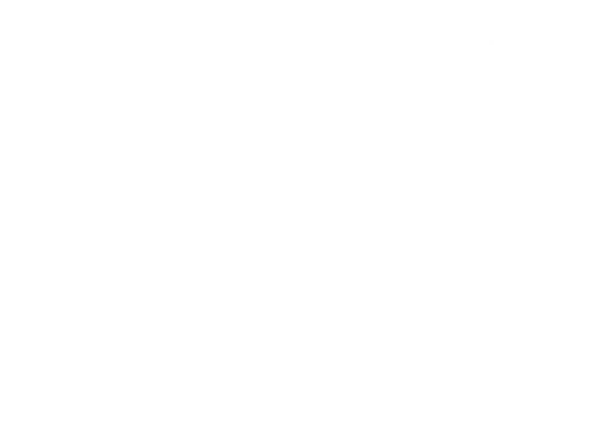 pista