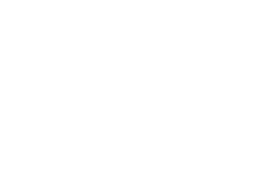 pista