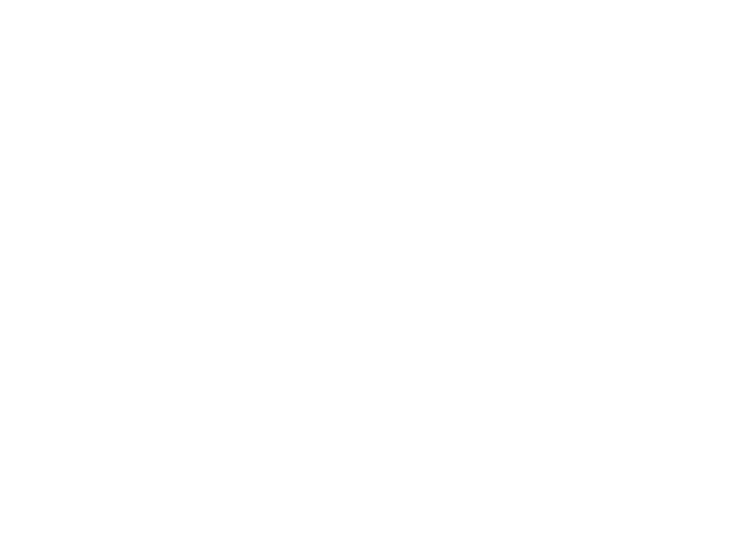 pista