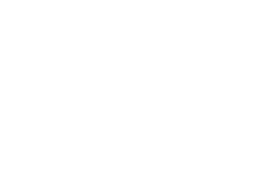 pista