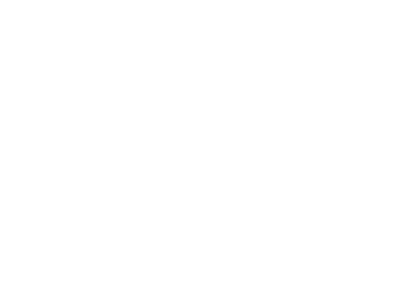 pista