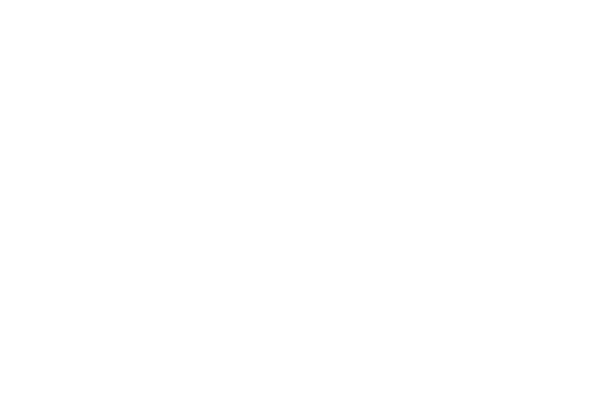 pista