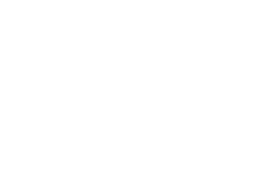 pista