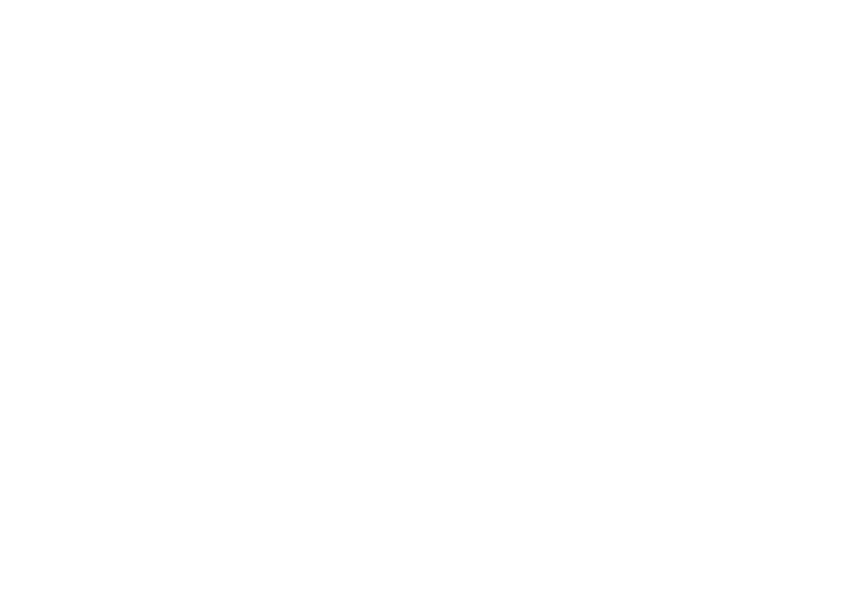 pista