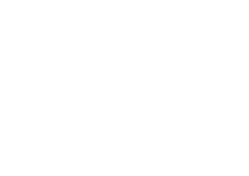 pista