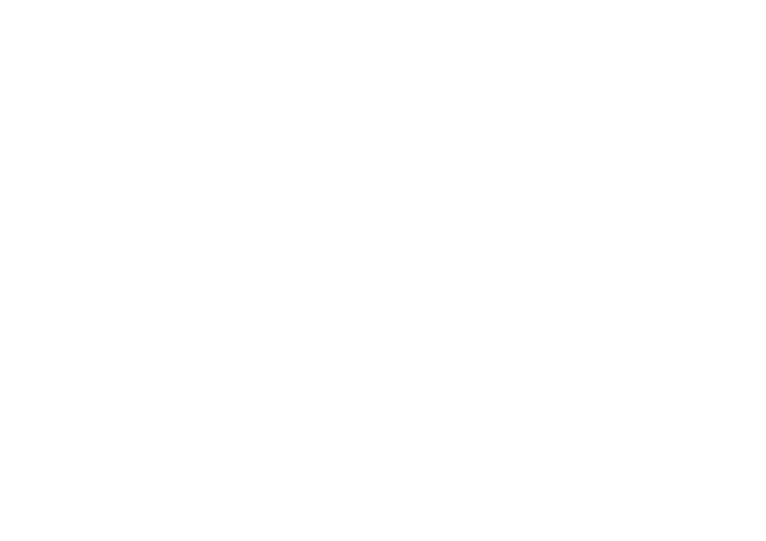 pista