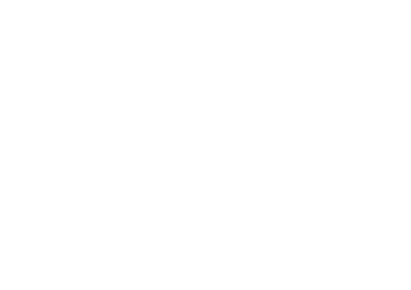 pista