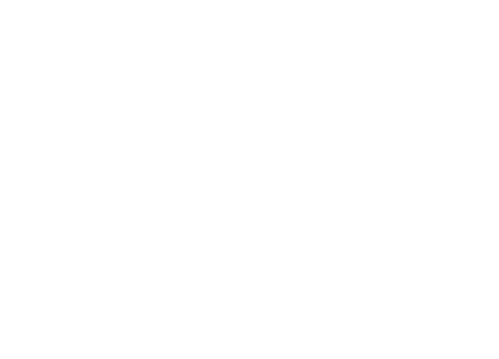 pista
