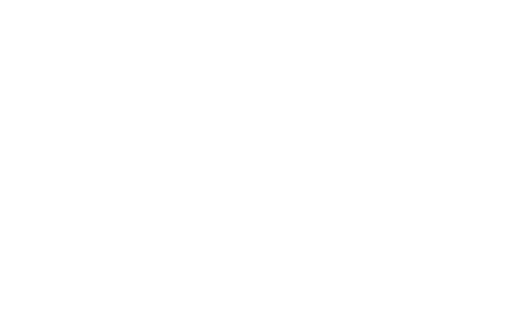 pista