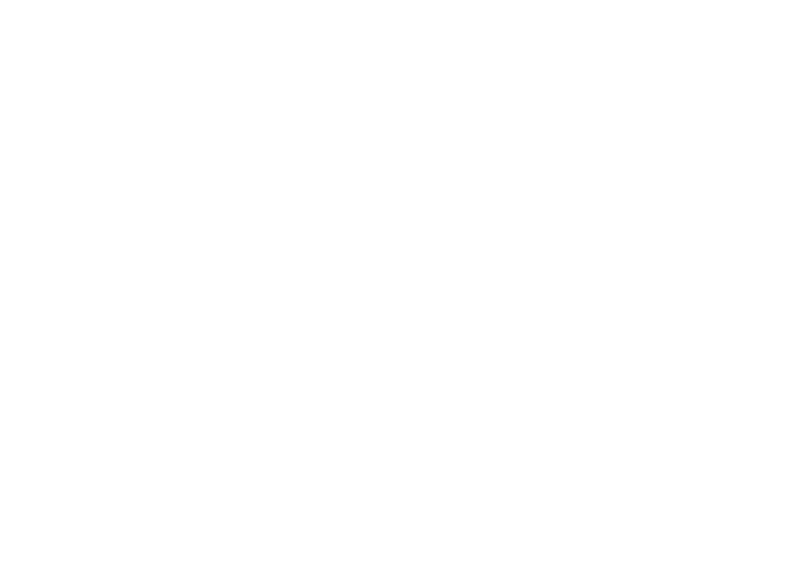 pista